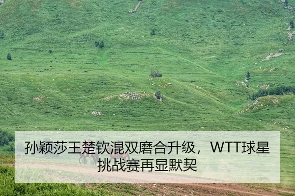 孙颖莎王楚钦混双磨合升级，WTT球星挑战赛再显默契